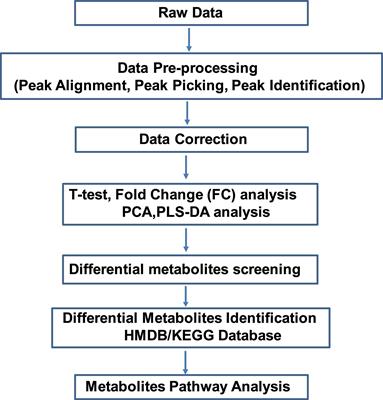 Primary Osteocyte Supernatants Metabolomic Profiling of Two Transgenic Mice With Connexin43 Dominant Negative Mutants